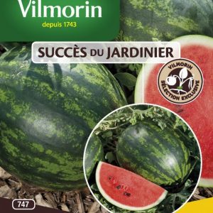 Pastèque Mini-Love HF1 (Succès du jardinier) #3682342
