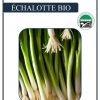 Échalotte "Parade" BIO