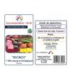 Betterave mix BIO – Image 2