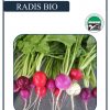 Radis "Biomix" BIO