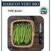 Haricot vert "Antigua Bush" BIO