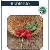 Radis "Raxe" BIO