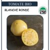 Tomate "Great White" blanche BIO