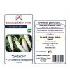 Radis Daikon – Image 2