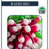 Radis "French Breakfast" BIO