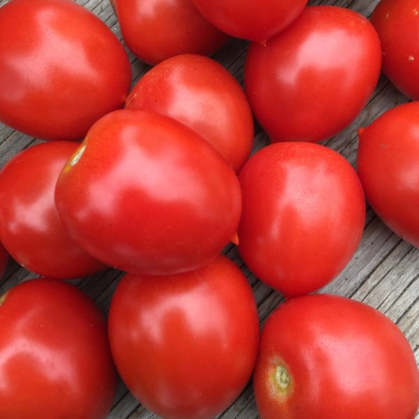Tomate Rouge Ruby Soul